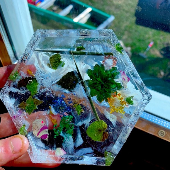 Coaster - Picture 1 of 1